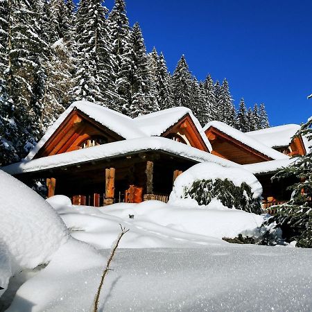 Chalet Caprea باد كلينكيرشهايم المظهر الخارجي الصورة