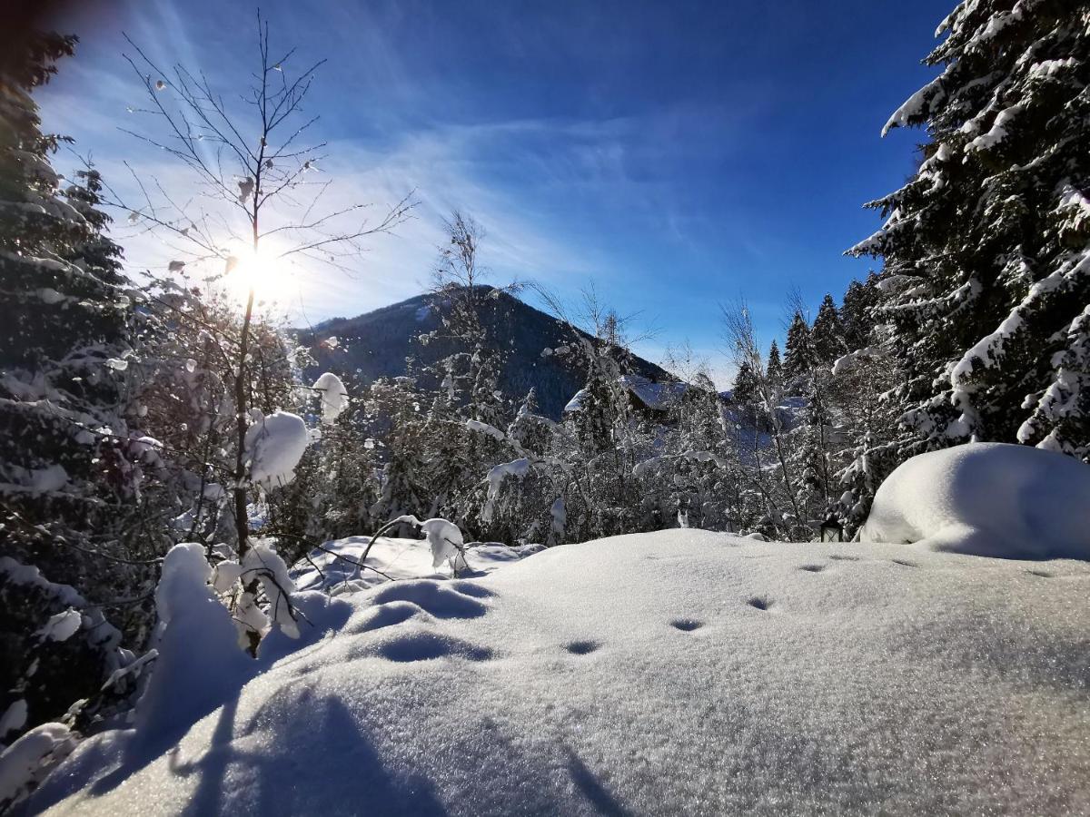 Chalet Caprea باد كلينكيرشهايم المظهر الخارجي الصورة
